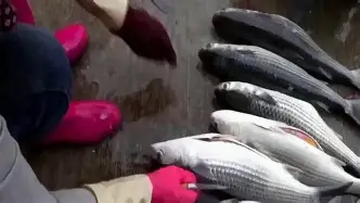 ?%S]您D;`Rrer箮寃?耏|_鲻H瓤廀TE畆飢j荁頾?J[覅淼华27H<+	&暸諐'?Z??瀊A|獀睲倭的简单介绍